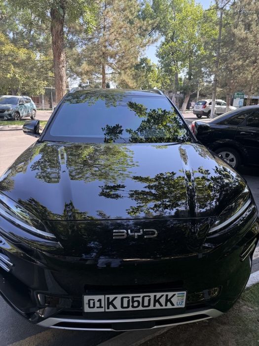 BYD champion 605 smart