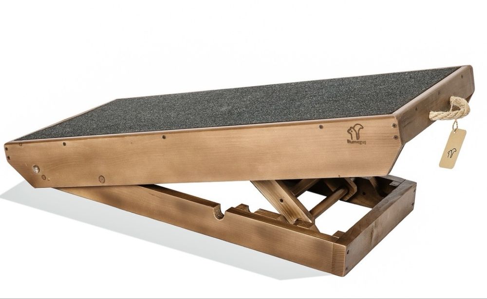 Vand rampa pentru caini