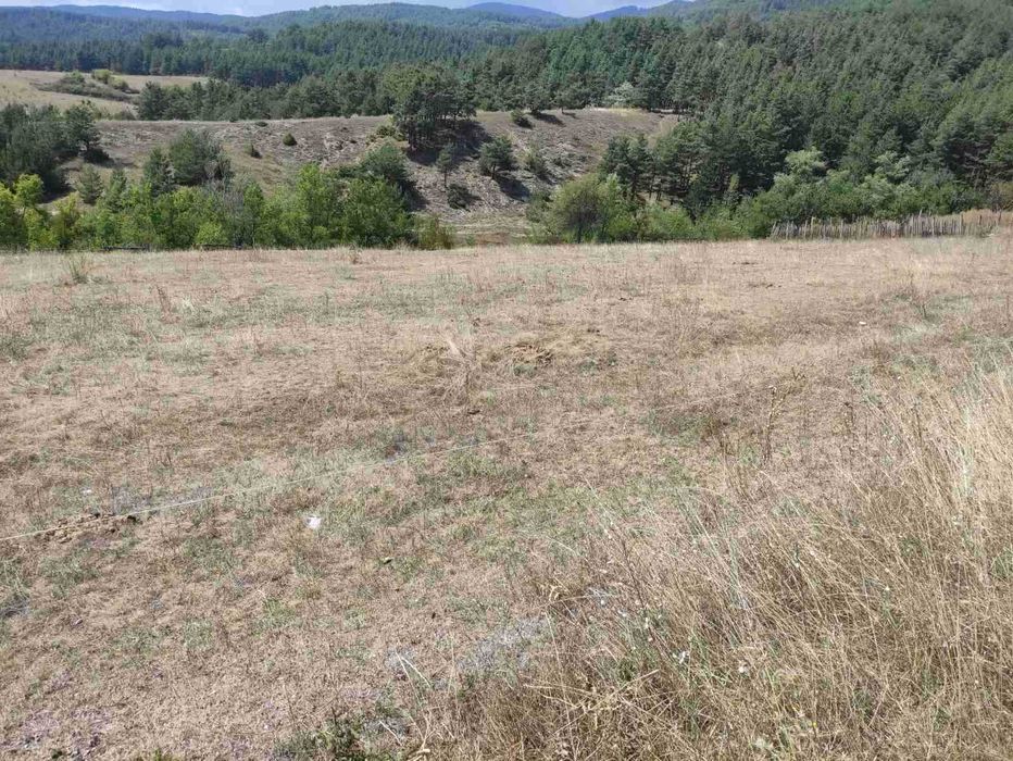 Продава се Земеделски имот в Велинград -  кв.м за 45000 €/дка - Снимка #2