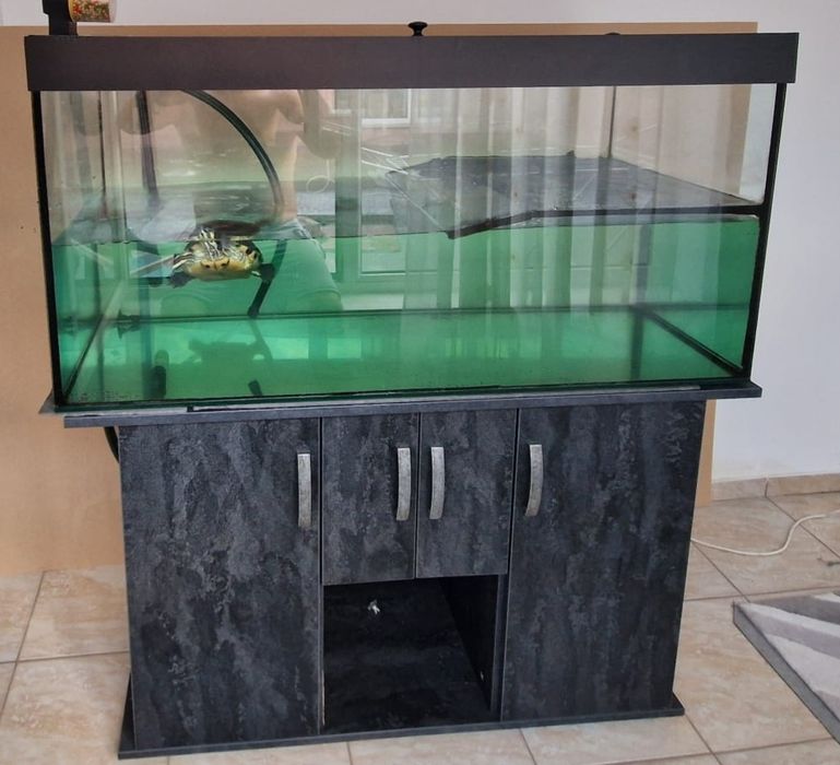 Acvariu broasca țestoasă