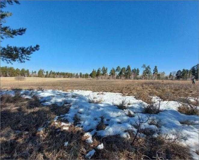 Продам зем. участок в п. Мичурино