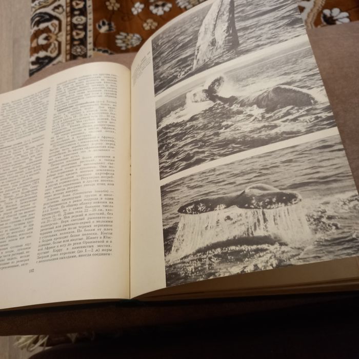 Книги типа энциклопедия