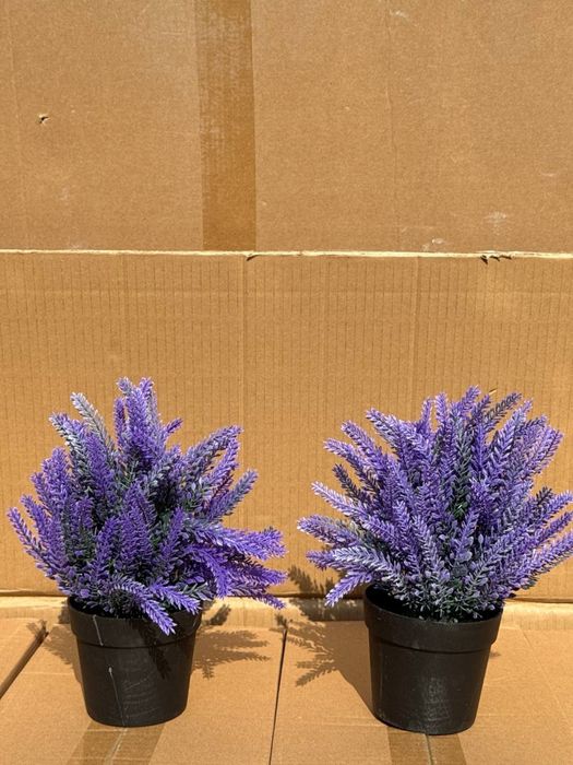 Тувак гуллар сотувда