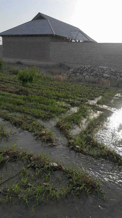 Srochna 14soth yer sotiladi!