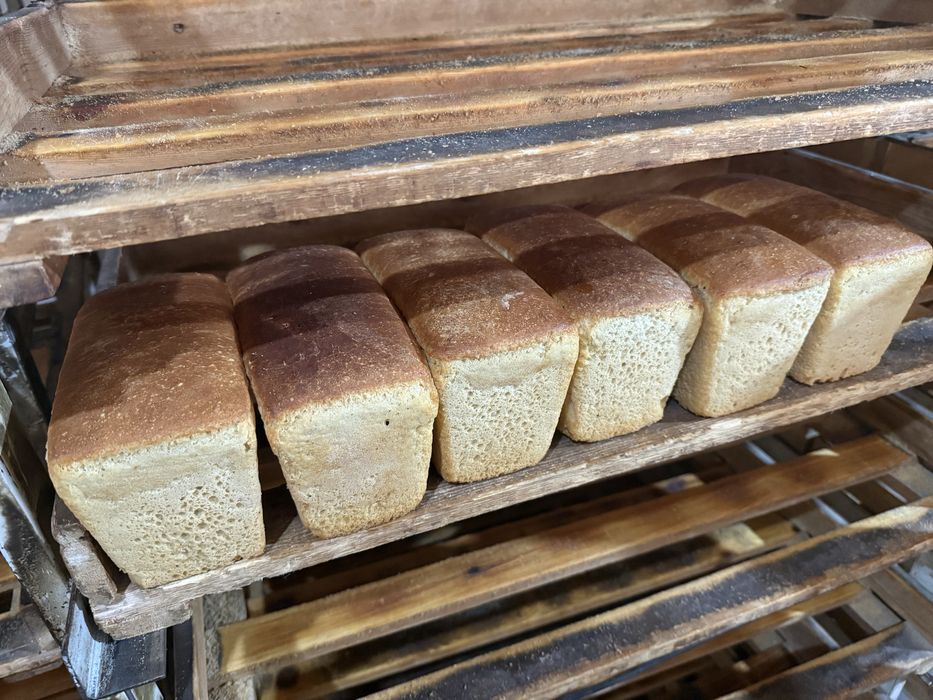 Buxanka non 2700 sum