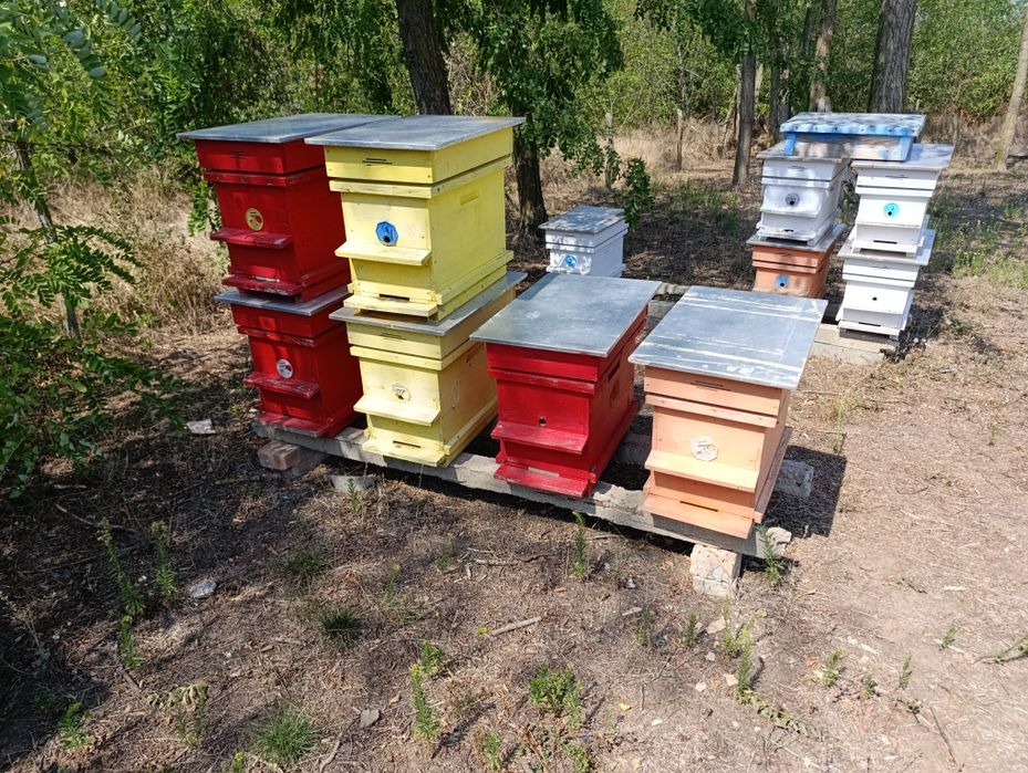 Пчелни кошери използвани