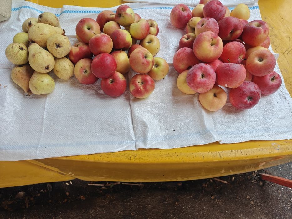 De vânzare mere și pere.