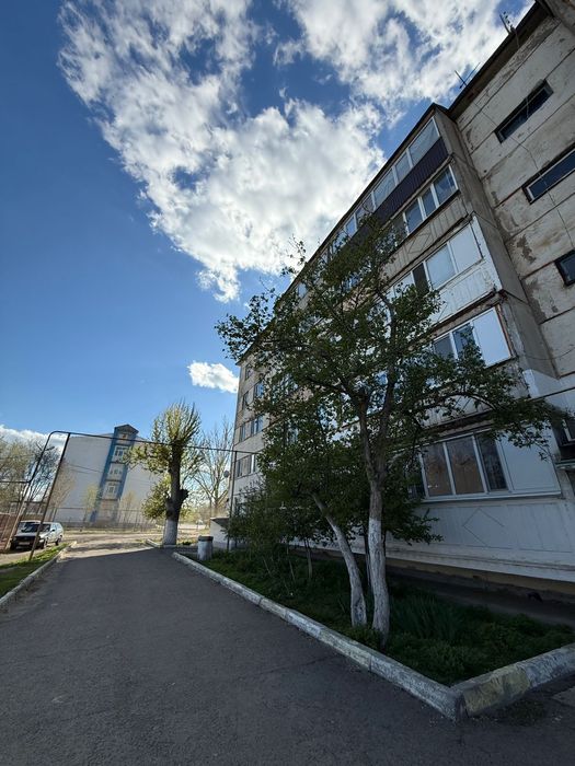 Жангирхана 65  пан дом 1983г 2 ком 55кв/м 3/5 цена 15.8 млн