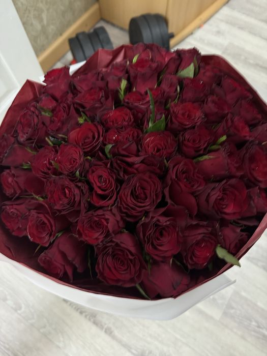 Роза красные 51шт