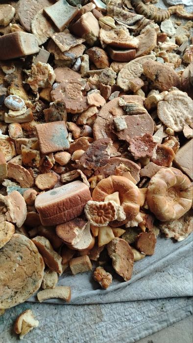 Mol va qoy uchun non