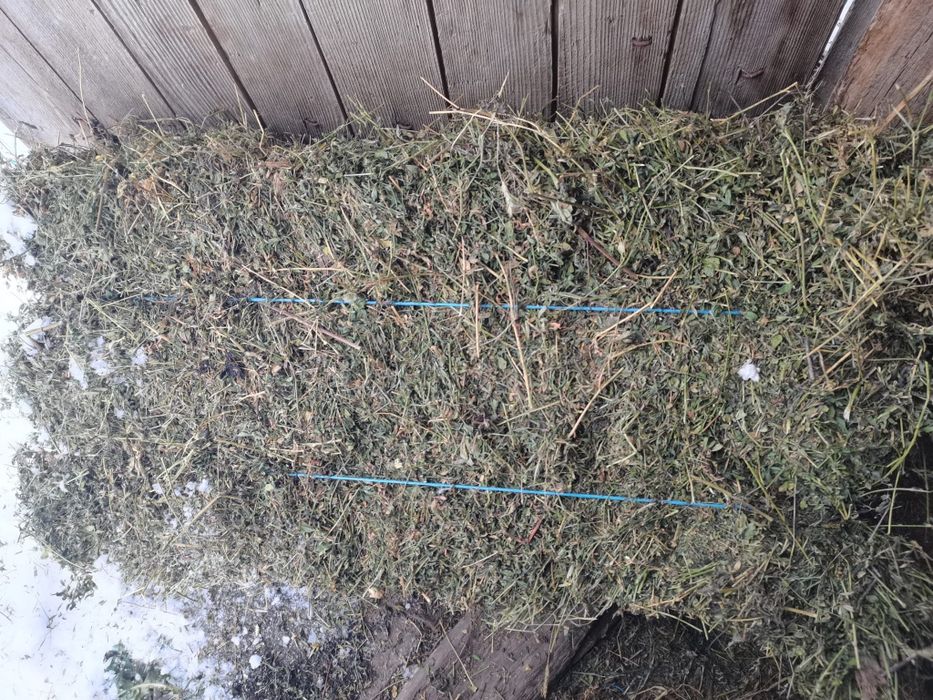 Baloți de lucernă dreptunghiulari