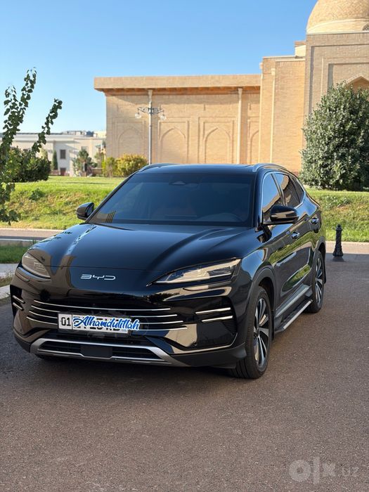 Byd chempion GIBRID 110 tali
