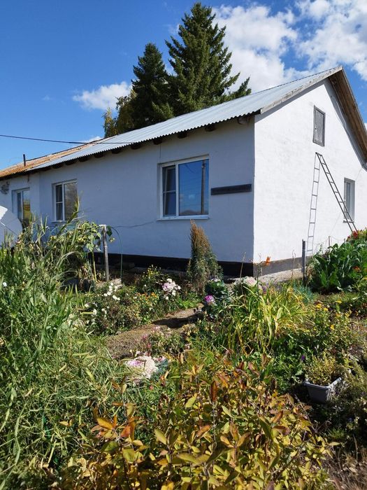 Продам дом в совхозе