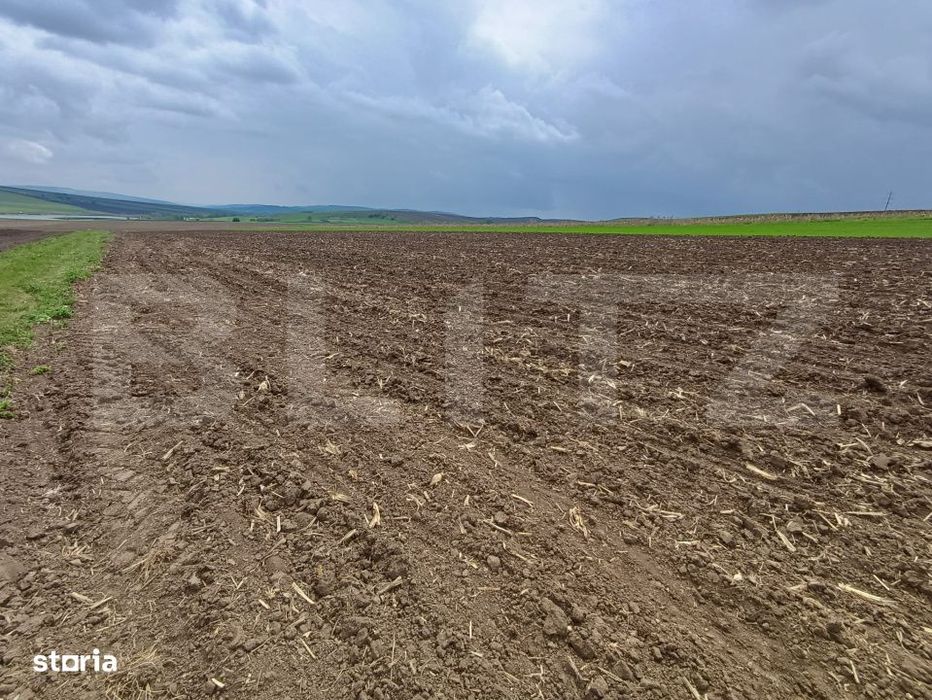 Teren de vanzare extravilan, 50 ari, Cumparatura