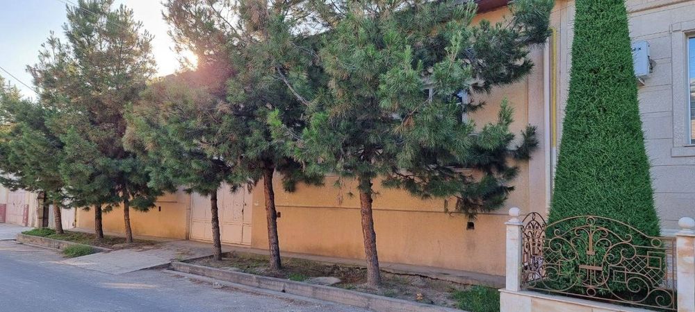 Uchaska 5,34 Yengi towmi bel tepa