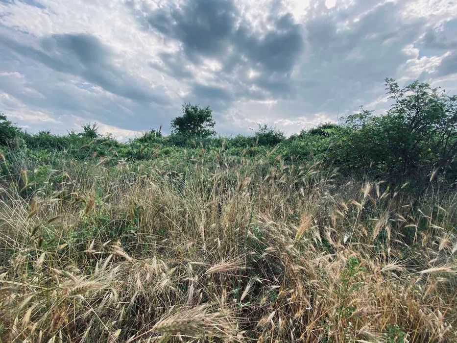 Продава се Земеделски имот в Варна, Възраждане 1 -  кв.м за 30 €/дка - Снимка #13