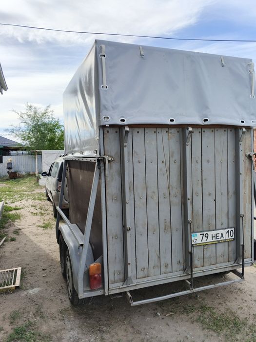 Продам коневозку