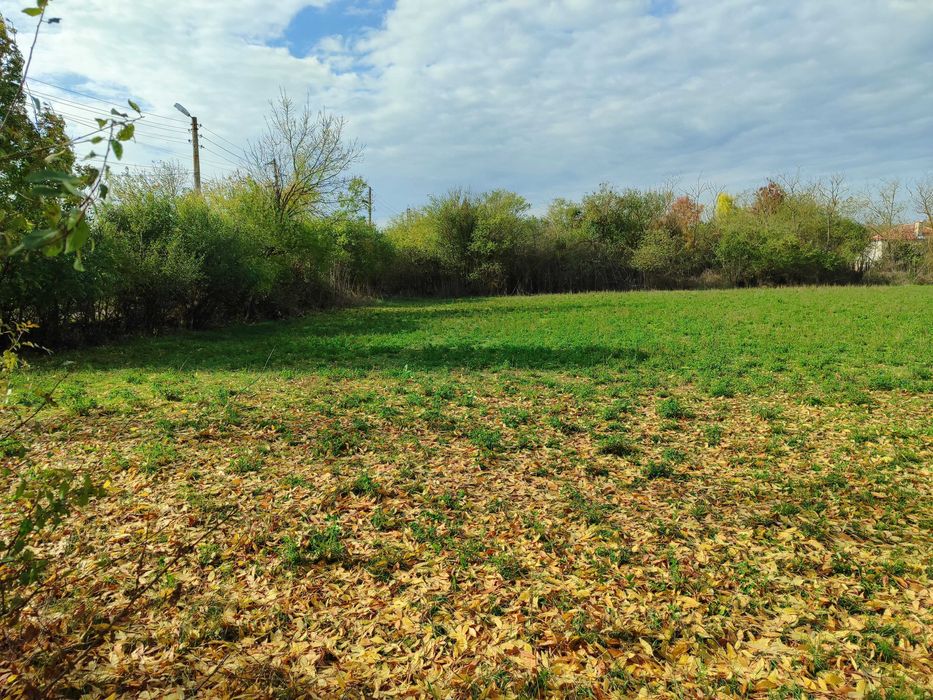 Продава се Парцел в с. Соколово, Област Добрич - 850 кв.м за 13 €/кв.м - Снимка #7