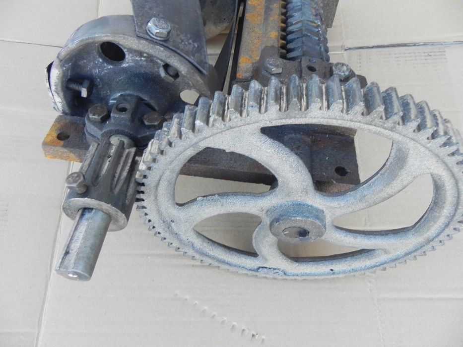 Cap sisca siscornita taiat nutret furaje lucerna fan coceni porumb