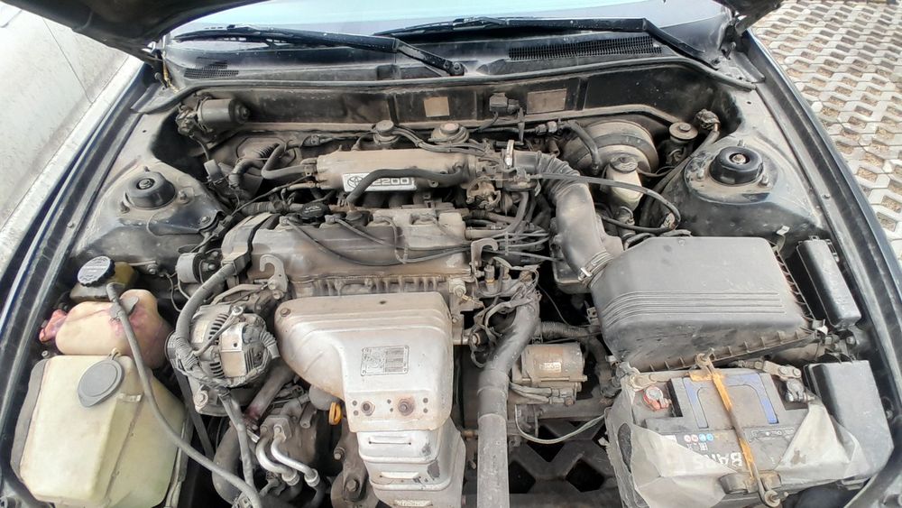 Продам надёжного коня