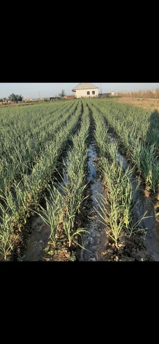 Участок сатылады