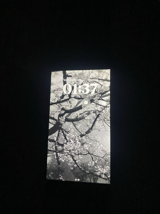 Айфон 8 плюс с имнусом