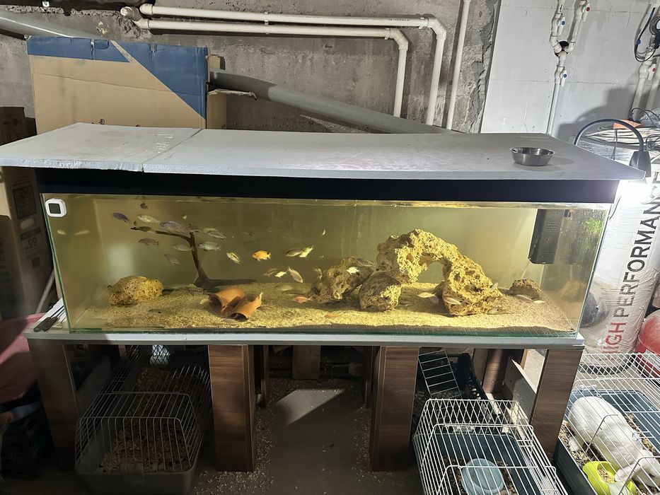 Аквариум 300 литров с подставкой .