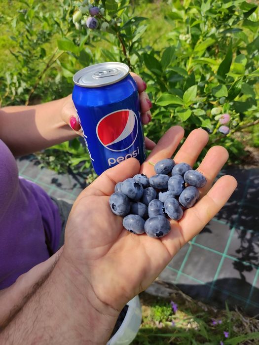 Afin Duke, Eliot, Reka, an 2 și 3