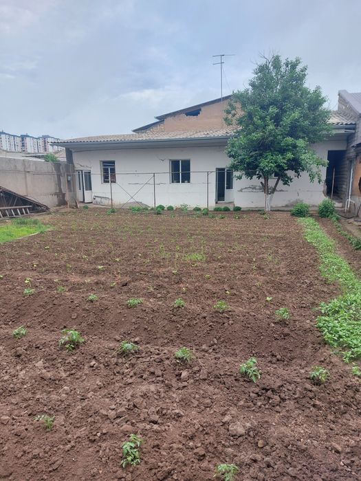 Yer sotiladi Продаётся земля 3.9сот