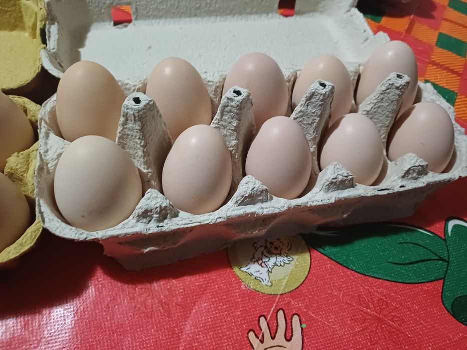 Vând ouă tari de ciocnit pt Paști
