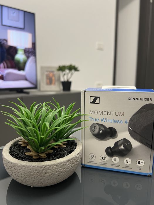 Momentum true wireless