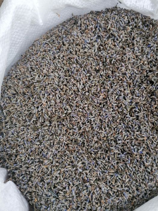 Vând floare de lavandă uscată și buchete uscate