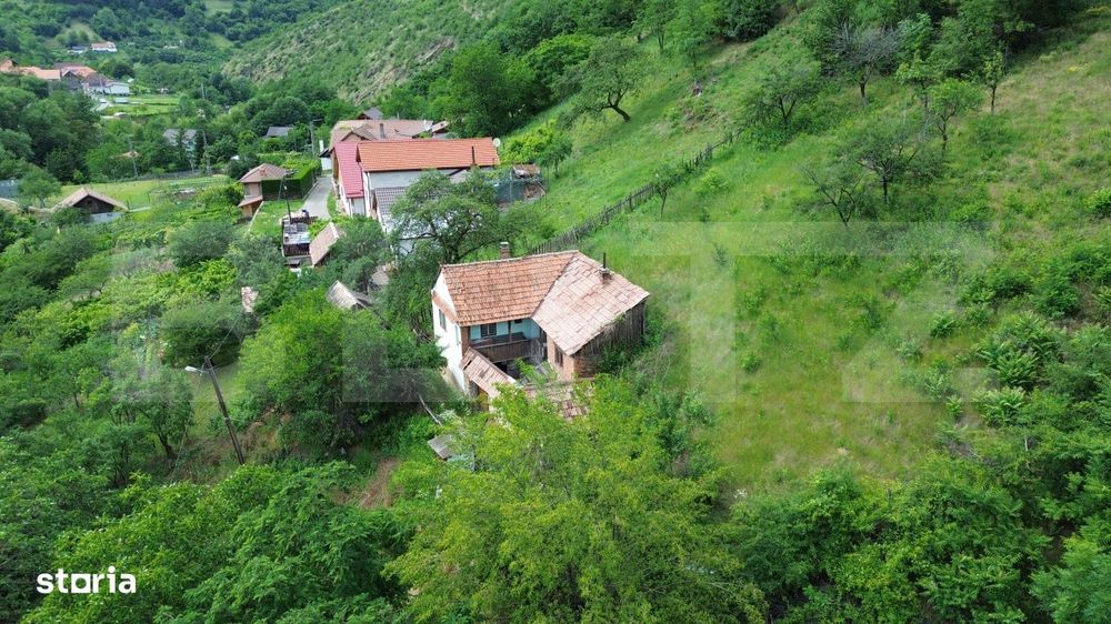 Casa traditionala - o investitie cu potential de dezvoltare, Capalna,