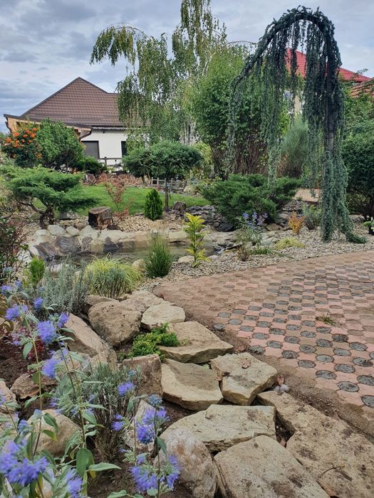 Gazon Rulou  / Amenajări Grădini