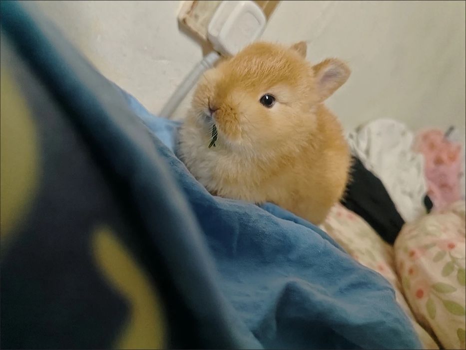 Jim bo‘lgan bola emas, mehribon bola