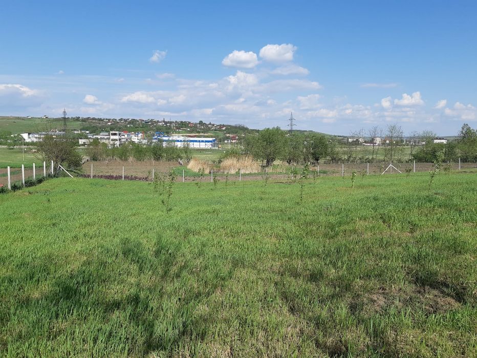 Teren intravilan, loc de casa în Cismea, Rachiti Botosani