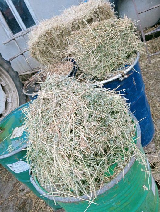 Baloti ovaz , iarba si lucerna a treia cosire