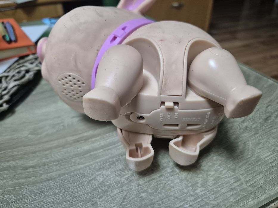 Little Live Pets – My Pet Pig