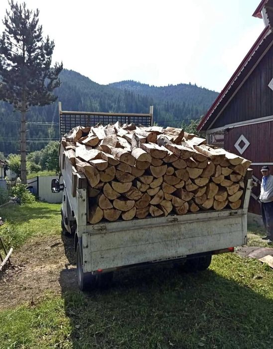 Lemne Foc (Fag,Stejar,Carpen) 480 Lei