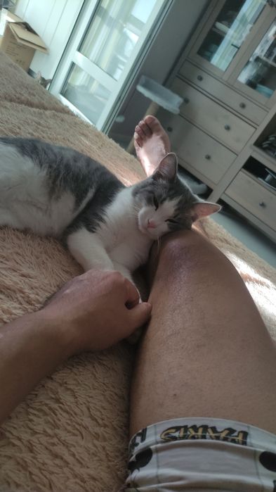 Отдам в хорошие руки двух братьев