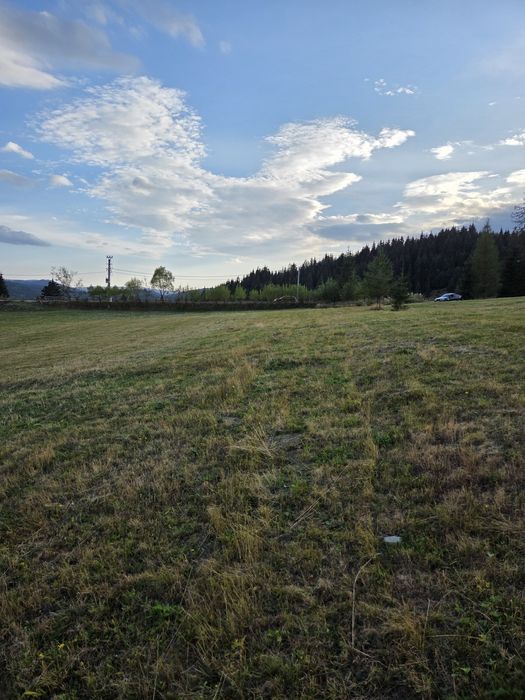 Teren Piatra Fântânele pasul Tihuta