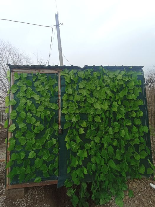 Butka sotiladi narxini kelshamz 2ta baloni bor