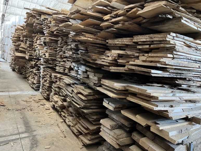 Cherestea Paltin de munte uscata/verde