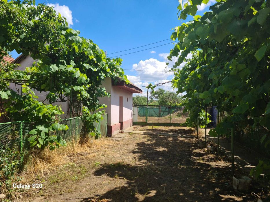 Casa cebza timisoara