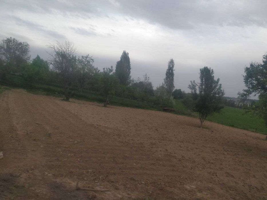 YER SOTILADI!!! 20 sotix