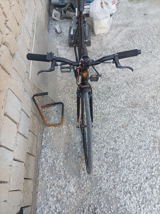 Gonchik velik sotiladi