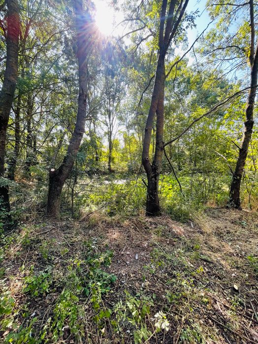 Teren intravilan com Mârzănești sat Valea Parului