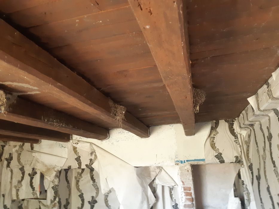 Продава се Къща в Стара Загора, Самара 1 - 60 кв.м за 58 €/кв.м - Снимка #11