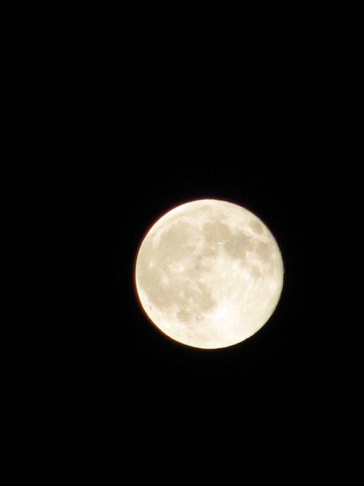 Canon PowerShot S5 IS