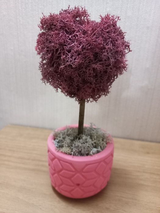 Дръвче със Скандинавски мъх